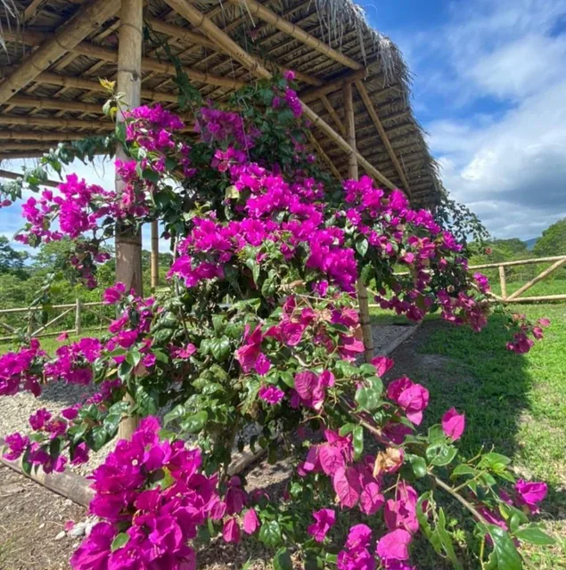 Venta de Terreno en Quintas Río Olón — imagen 3
