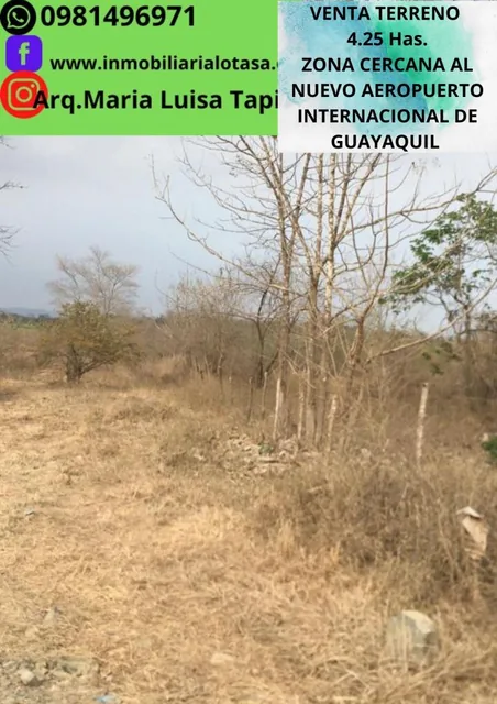 Venta Terreno 4.25 Has Via a La Costa Km 24 Sector Chongon. Guayas — imagen 4