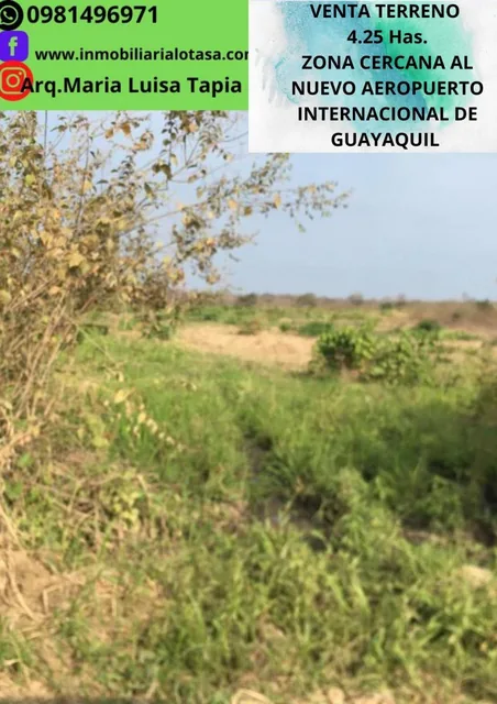 Venta Terreno 4.25 Has Via a La Costa Km 24 Sector Chongon. Guayas — imagen 3
