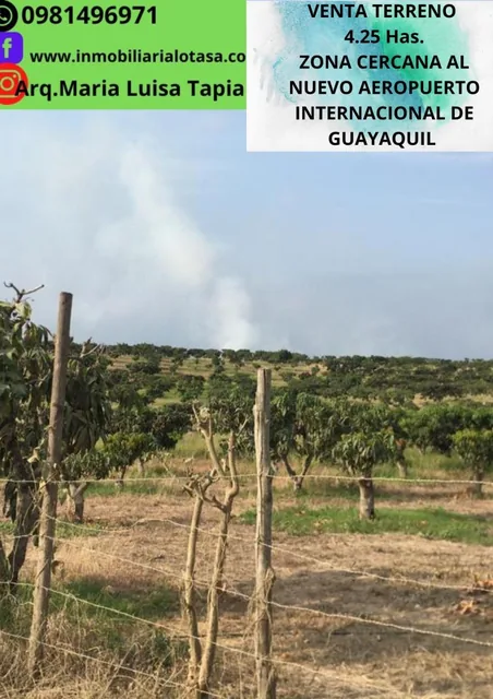Venta Terreno 4.25 Has Via a La Costa Km 24 Sector Chongon. Guayas — imagen 2