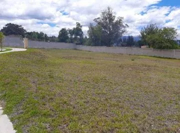Puembo — imagen 5