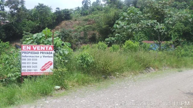 Lote en Venta, Parroquia Lumbaqui Cantóm Gonzalo Pizarro - Sucumbios — imagen 5