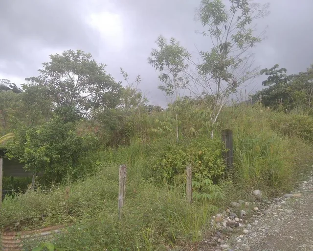 Lote en Venta, Parroquia Lumbaqui Cantóm Gonzalo Pizarro - Sucumbios — imagen 4
