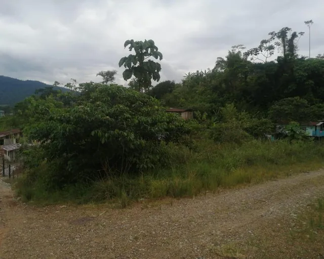 Lote en Venta, Parroquia Lumbaqui Cantóm Gonzalo Pizarro - Sucumbios — imagen 2