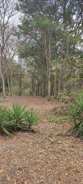 Playa Escondida Hermoso Terreno en Lotización Ecológica — imagen 5