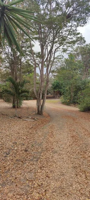 Playa Escondida Hermoso Terreno en Lotización Ecológica — imagen 4