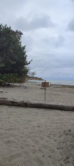 Playa Escondida Hermoso Terreno en Lotización Ecológica — imagen 3