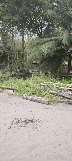 Playa Escondida Hermoso Terreno en Lotización Ecológica — imagen 2