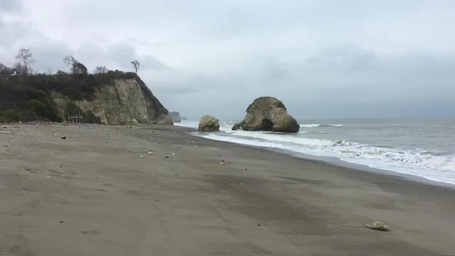 Espectacular Terreno de Venta Entre Jama y Pedernales, Manabí — imagen 4
