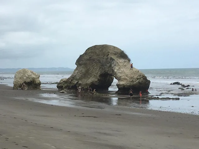 Espectacular Terreno de Venta Entre Jama y Pedernales, Manabí — imagen 3