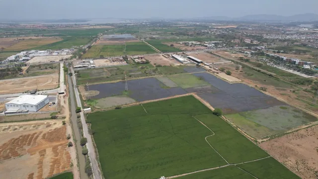 Venta de Terreno en Buijo Cantón Samborondón - H. Rios, Guayas — imagen 3
