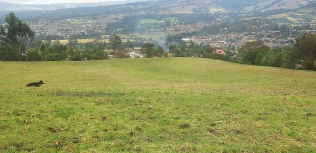 Terreno en Venta, Valle de Los Chillos, Amaguaña — imagen 3