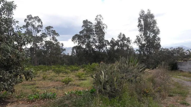 Terreno Residencial 1, en Venta, San Antonio, Quito — imagen 3