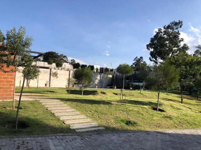 Vendo Terreno de 8300 m² en Sector La Morita en Tumbaco y Construcción — imagen 5