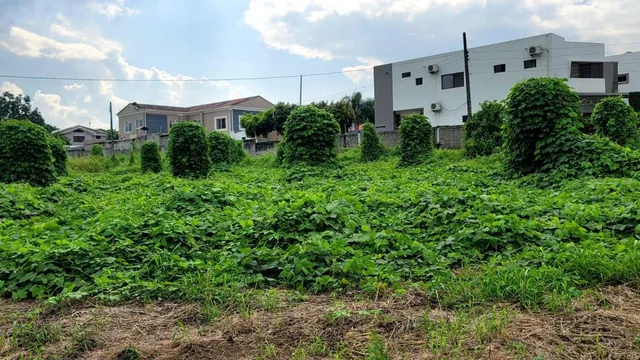 En Venta Terreno de 130.818 m en Vía a La Costa - Km 15 - Mae. Recalde, Guayas — imagen 5