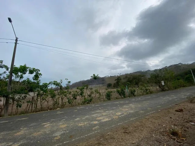 Venta de Terrenos 6 Has en Sector La Cabuya Via Jama Pedernales, Manabí — imagen 5