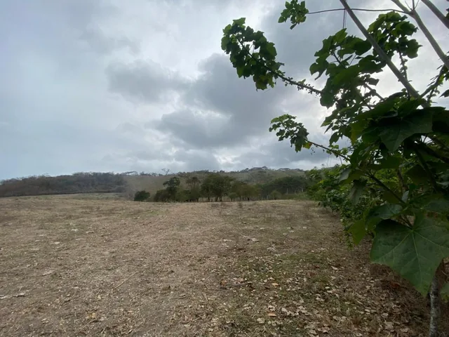 Venta de Terrenos 6 Has en Sector La Cabuya Via Jama Pedernales, Manabí — imagen 4