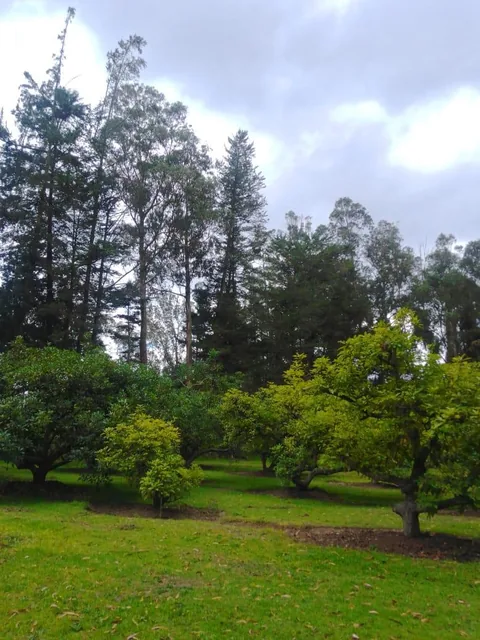 Se Vende Hacienda Guayllabamba, 17 Has 170.000 m² Varias Casas — imagen 5