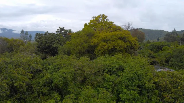 Se Vende Hacienda Guayllabamba, 17 Has 170.000 m² Varias Casas — imagen 3