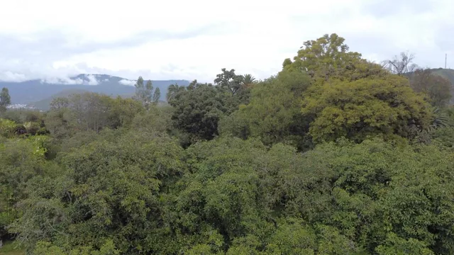 Se Vende Hacienda Guayllabamba, 17 Has 170.000 m² Varias Casas — imagen 2