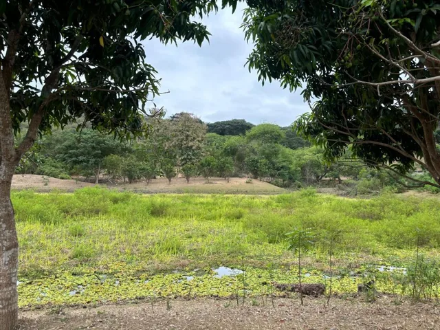Vendo Propiedad en Vía a La Costa, Consuelo, Al Pie de La Via, Guayas — imagen 4