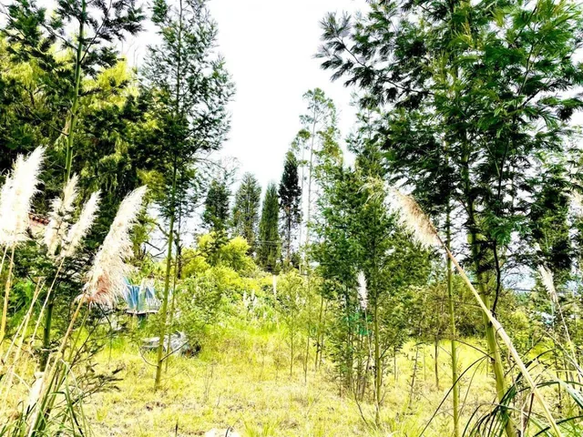 Terreno en Venta Exclusivo Sector: San Joaquin, Azuay — imagen 5