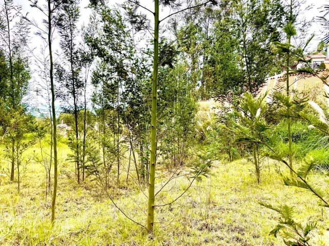 Terreno en Venta Exclusivo Sector: San Joaquin, Azuay — imagen 4