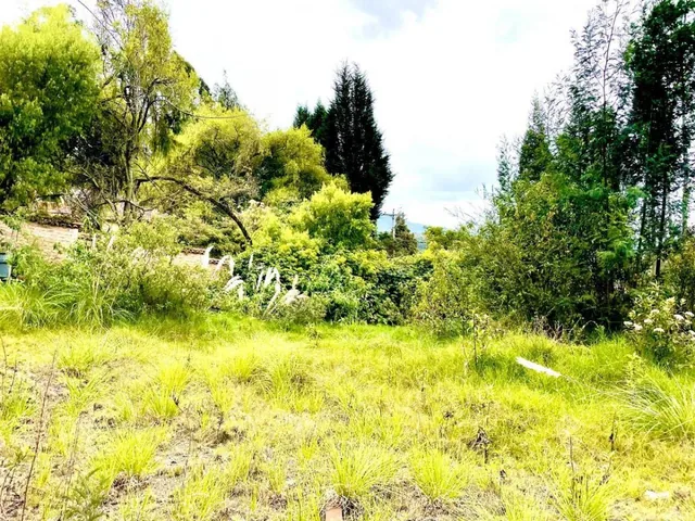 Terreno en Venta Exclusivo Sector: San Joaquin, Azuay — imagen 3
