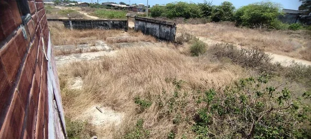 Terreno en Las Gaviotas, Playas Villamil R. Hurtado, Guayas — imagen 4