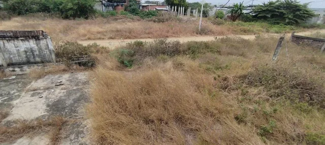 Terreno en Las Gaviotas, Playas Villamil R. Hurtado, Guayas — imagen 3