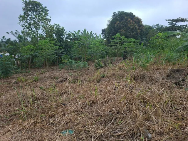 Terreno en Venta de 320 m² Las Tolas, Quevedo, Los Ríos — imagen 5