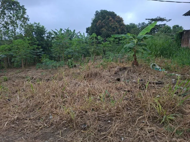 Terreno en Venta de 320 m² Las Tolas, Quevedo, Los Ríos — imagen 4