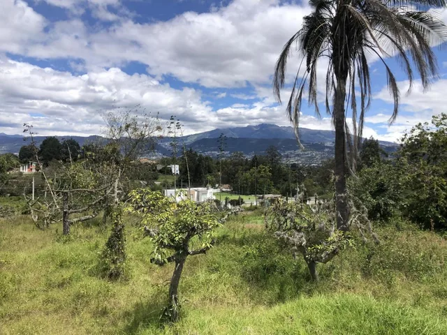 Terreno de Venta en Puembo, Empezando La Recta de La Vía a Arrayanes. Amplia Plusvalía — imagen 5