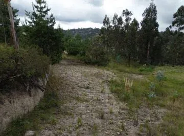 Terreno en Venta – Sector El Calvario, Déleg — imagen 3