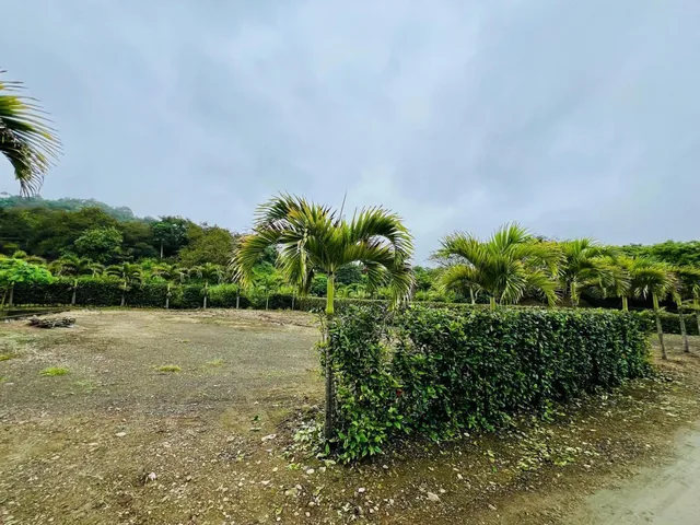 Terreno 700 m en Ayampe, Manabí — imagen 5