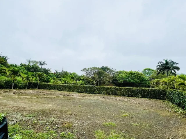 Terreno 700 m en Ayampe, Manabí — imagen 4