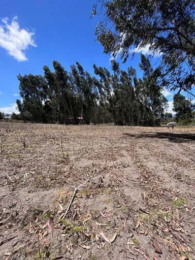 Terreno de Venta Ubicado Dentro de Urbanización en Laso, Cotopaxi — imagen 4