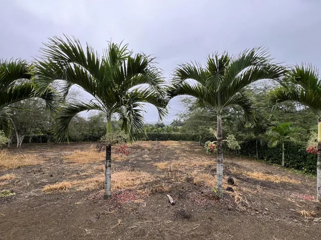 Terreno Vista Al Mar Ayampe, Manabí — imagen 3