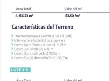 En Venta Terrenos en Vía Costa de 4.110 m - Mae. Recalde, Guayas — imagen 5