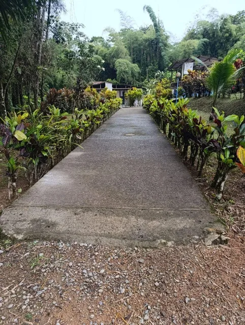 Terreno en Venta en Urb. Pedro Vicente m. 2600 m² — imagen 3