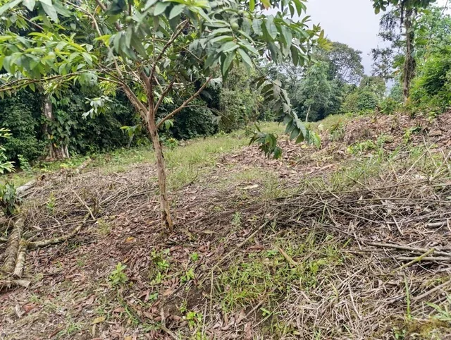 Terreno en Venta en Urb. Pedro Vicente m. 2600 m² — imagen 2
