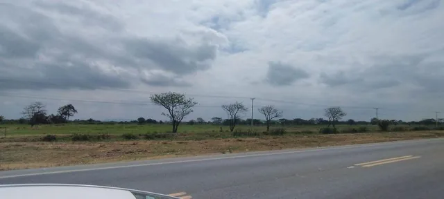 Km 13.5 Via Al Pan Entre Tropicalfruit y Okbanana A. Blum, Guayas — imagen 2