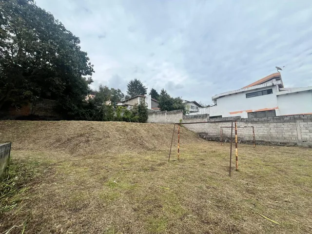 Terreno 480 m², Sector La Armenia, Los Arupos — imagen 2