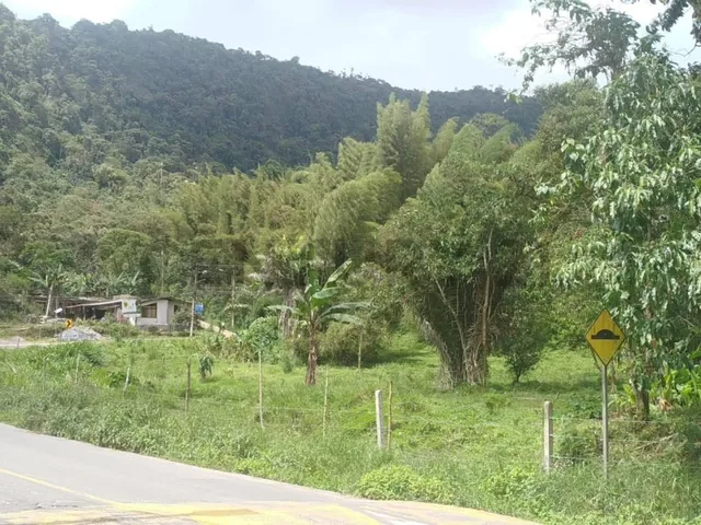Se Vende Lotes de Terreno Sobre Via Principal Mindo — imagen 5
