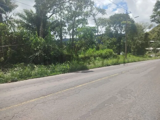 Se Vende Lotes de Terreno Sobre Via Principal Mindo — imagen 4