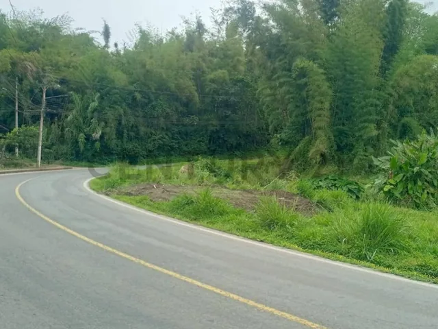 Se Vende Lotes de Terreno Sobre Via Principal Mindo — imagen 3