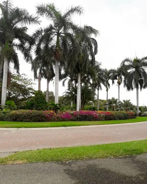Terreno de 750 m² en Venta en Exclusiva Urbanizacion de Samborondón, La Ribera del Batán, Guayas — imagen 2
