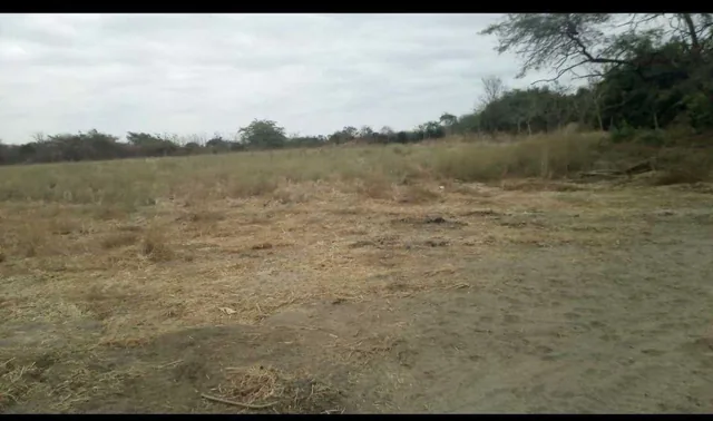 Venta Terreno 320.000 m² Via Los Lojas, a 300 m de La Via a Salitre, Se Ingresa por Vía Asfaltada. Guayas — imagen 5