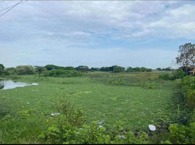 Venta Terreno 320.000 m² Via Los Lojas, a 300 m de La Via a Salitre, Se Ingresa por Vía Asfaltada. Guayas — imagen 3