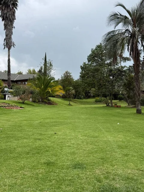 Terreno - en Venta - Tumbaco - 626 m² — imagen 5